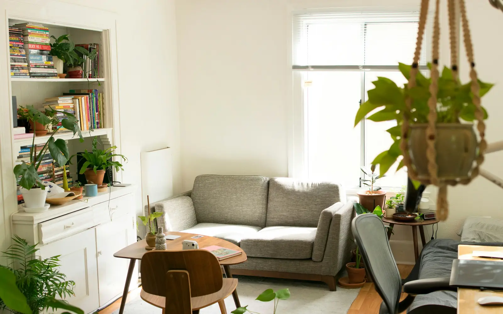 Bright living room interior with plants and a grey sofa
